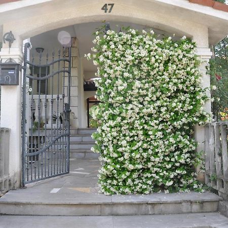 Apartmaji Stamcar Izola Exteriér fotografie